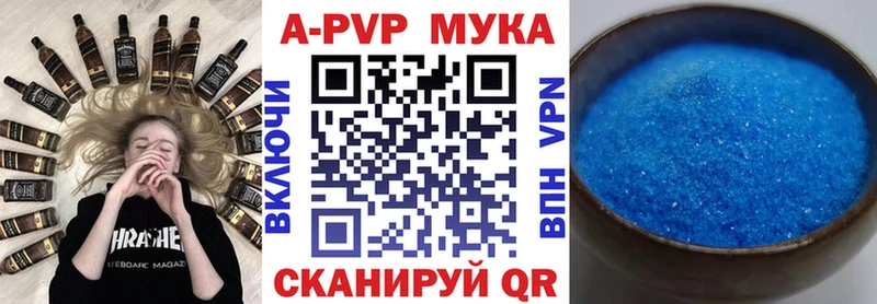 ОМГ ОМГ ССЫЛКА  Беслан  A PVP СК 